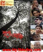 Shunyo Awnko 2013 Song Download